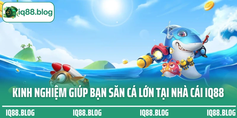 Kinh nghiệm giúp bạn săn cá lớn tại nhà cái IQ88