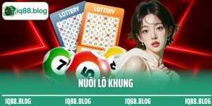 nuôi lô khung