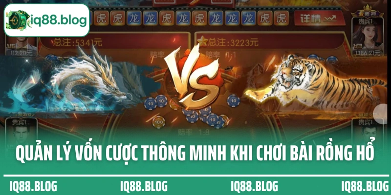 Quản lý vốn cược thông minh khi chơi bài Rồng Hổ