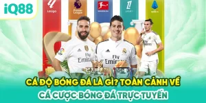 Ca-do-bong-da-la-gi-Toan-canh-ve-ca-cuoc-bong-da-truc-tuyen
