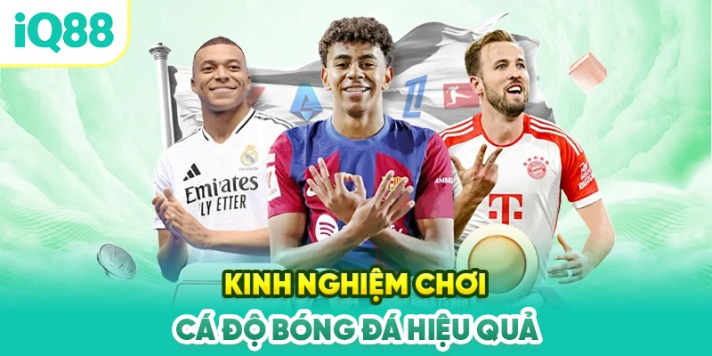 Kinh-nghiem-choi-ca-do-bong-da-hieu-qua