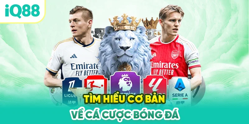 Tim-hieu-co-ban-ve-ca-cuoc-bong-da